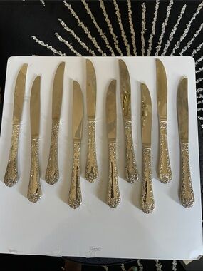 Set of Ten Enchanted Rose Silver Plated Dinner Knife Set - Elegant Floral Handle